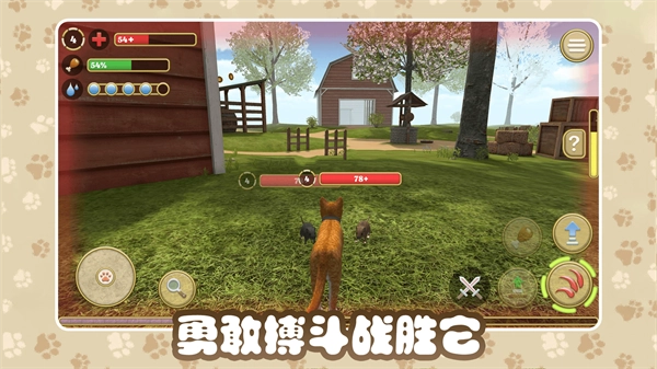猫咪农场(1)