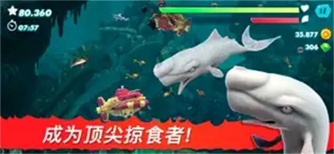 饥饿鲨进化国际服正版