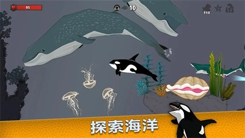 皇家鱼中文版截图5