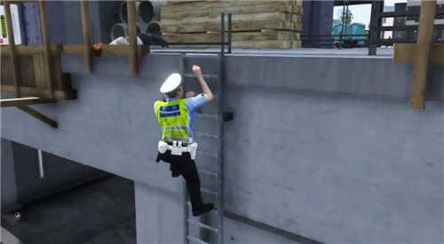 模拟警察特警(Police set weapons patrol simulator)(1)