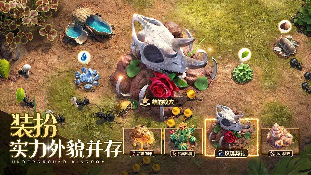 小小蚁国台服5