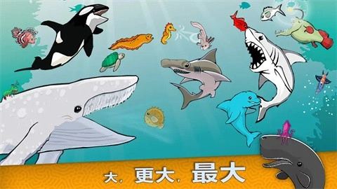 皇家鱼中文版截图2