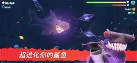 饥饿鲨进化国际服正版