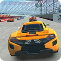 真实赛车模拟器Real Fast Car