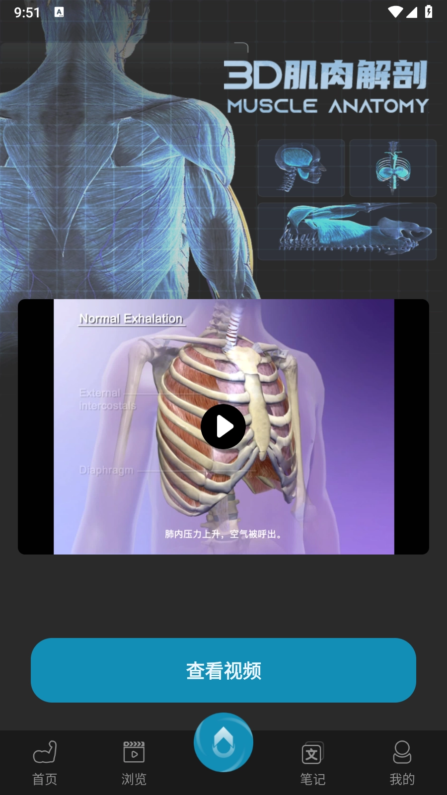 3D肌肉解剖免费版图1