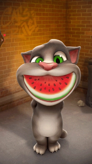 会说话的汤姆猫旧版