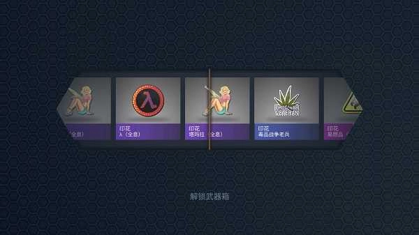 csgo开箱模拟器无广告(2)