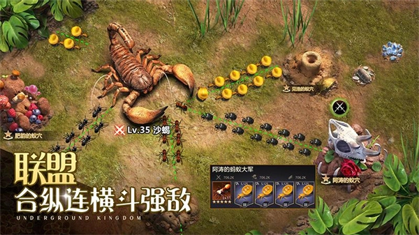 小小蚁国华为版图3