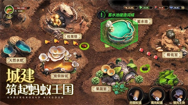 小小蚁国华为版图2