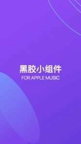 谜底黑胶 图2