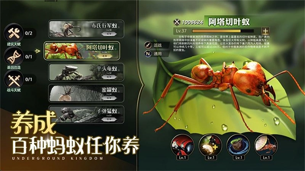 小小蚁国华为版图5