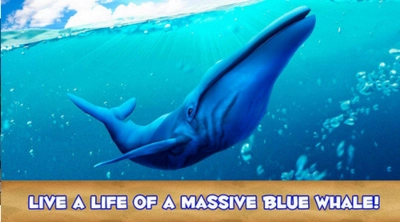 深海蓝鲸模拟BlueWhaleSimulator游戏安装包图3