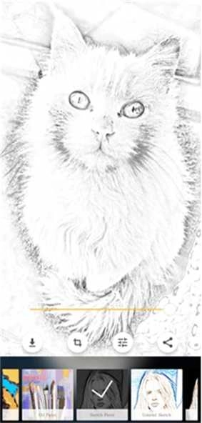 Art Pencil Camera 图2