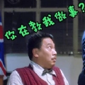 吴你在教我做事啊视频gif 