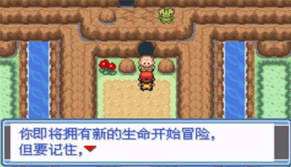 宝可梦永恒之焱xyz神兽版图3