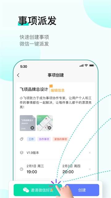 飞项1