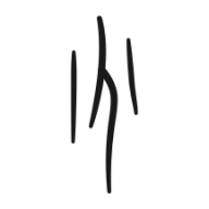 背duo分单词安装