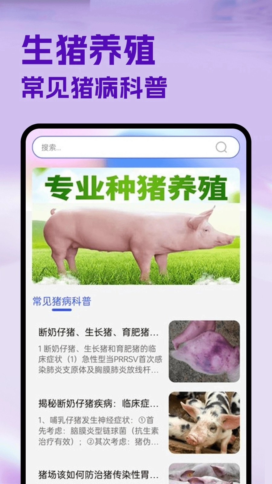 抓了个猪图2
