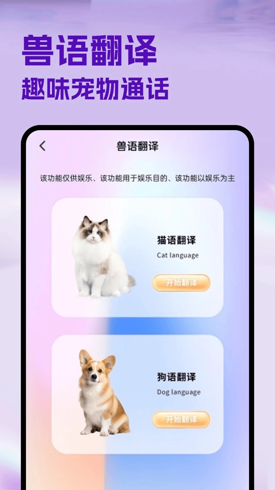 抓了个猪图4