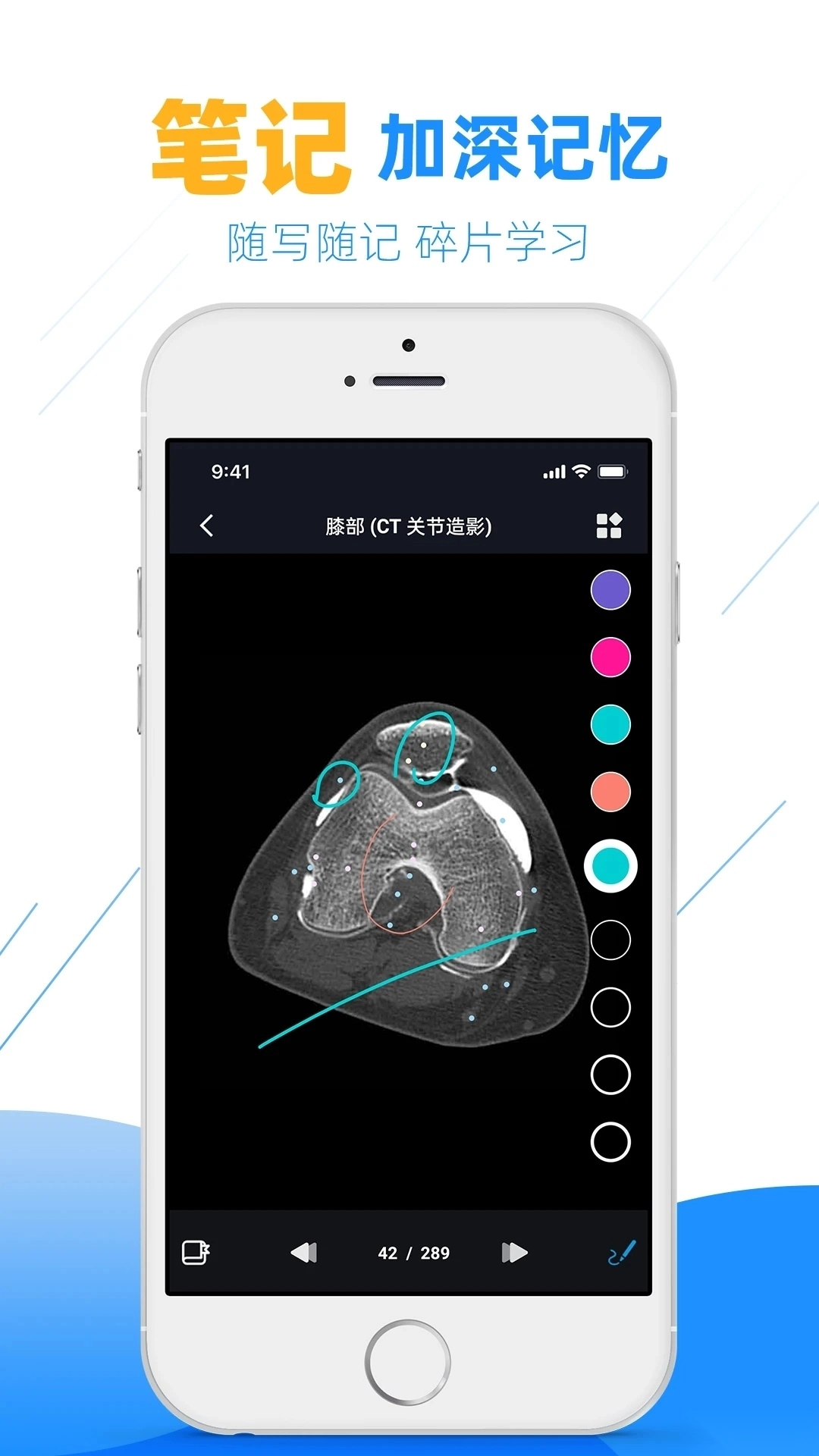 影像解剖图谱最新版(1)
