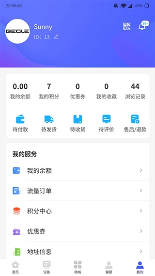 表鸽图4