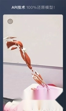 维萨里3D解剖
