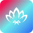 宝莲灯