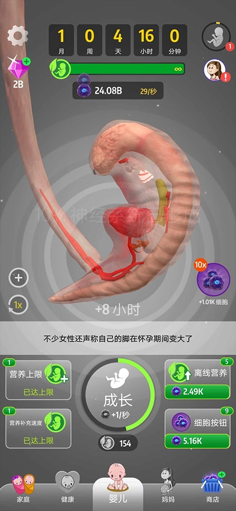 人类进化史中文版图3