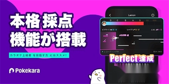 pokekara中文版截图1