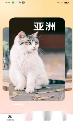 妙喵乐看(4)