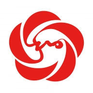 大美民和正版