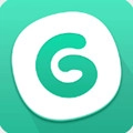 gg大玩家正版