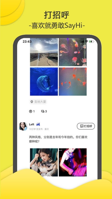 南乔木手机版图3