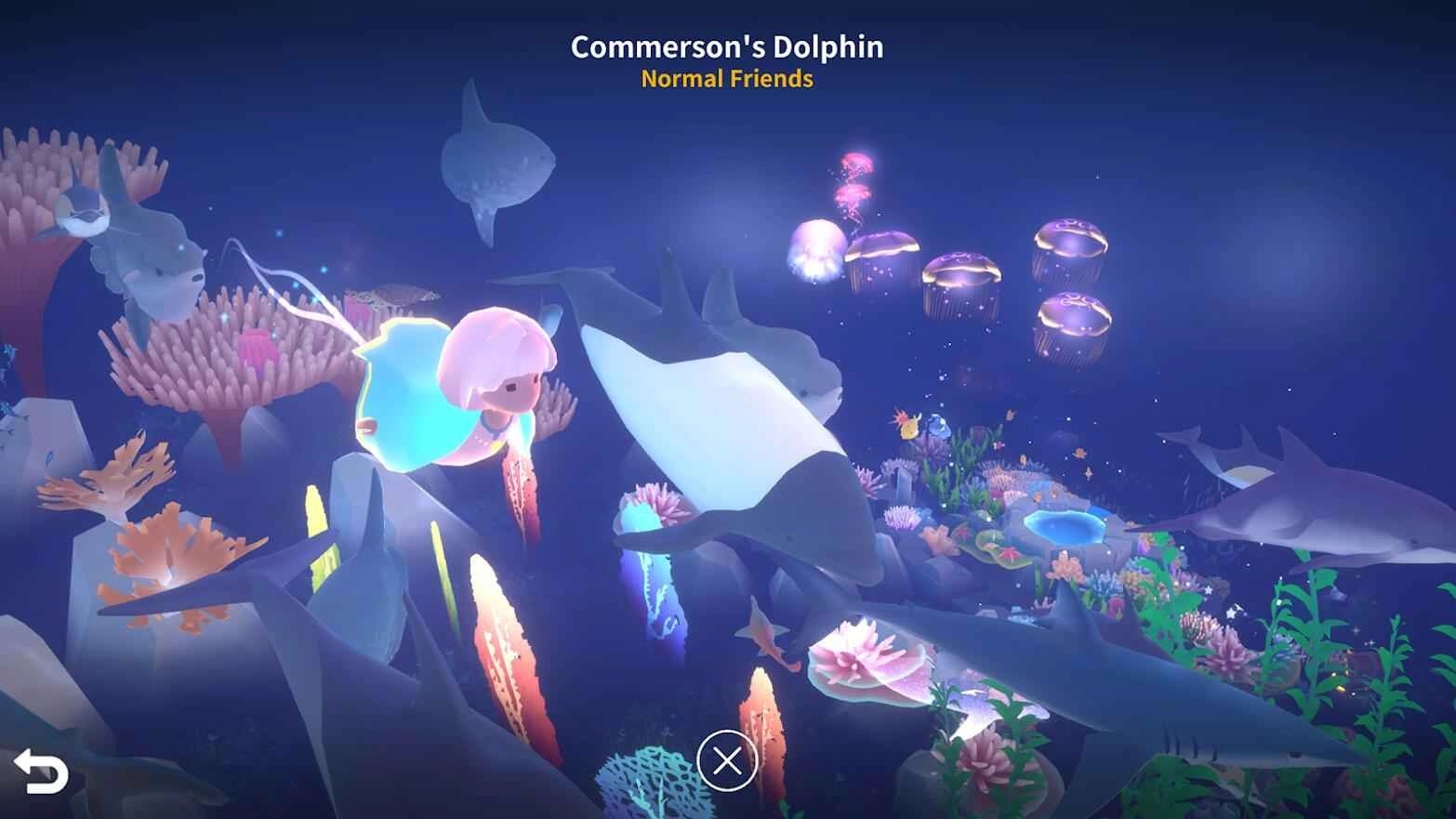 深海庭院正版截图3