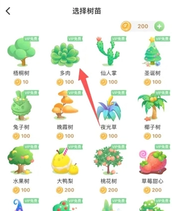 打卡森林免费版(1)