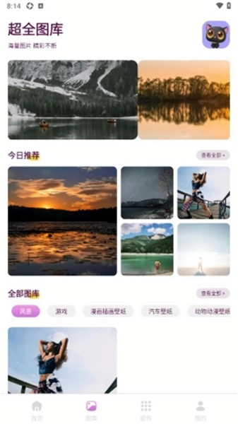 樱次元壁纸图2