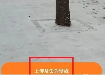 皮皮桌面壁纸截图0