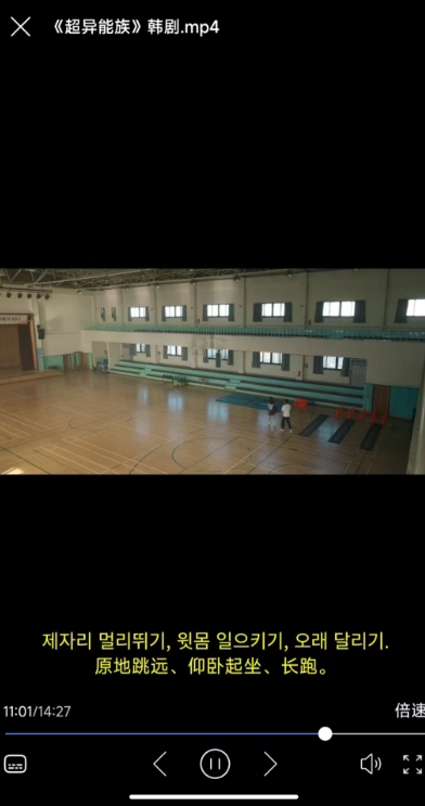 X字幕安卓版图3