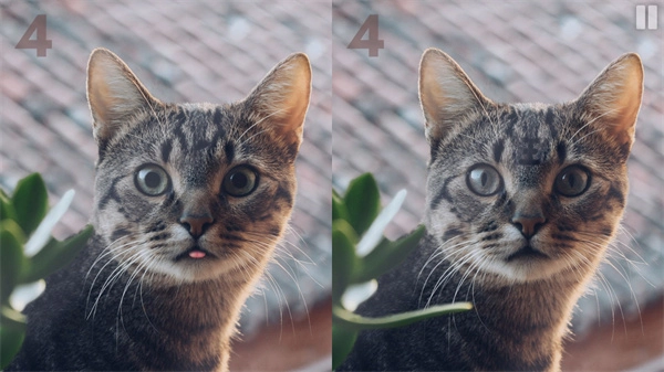 慧眼寻异手游直装版图3