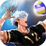 排球故事国际服安卓直装版