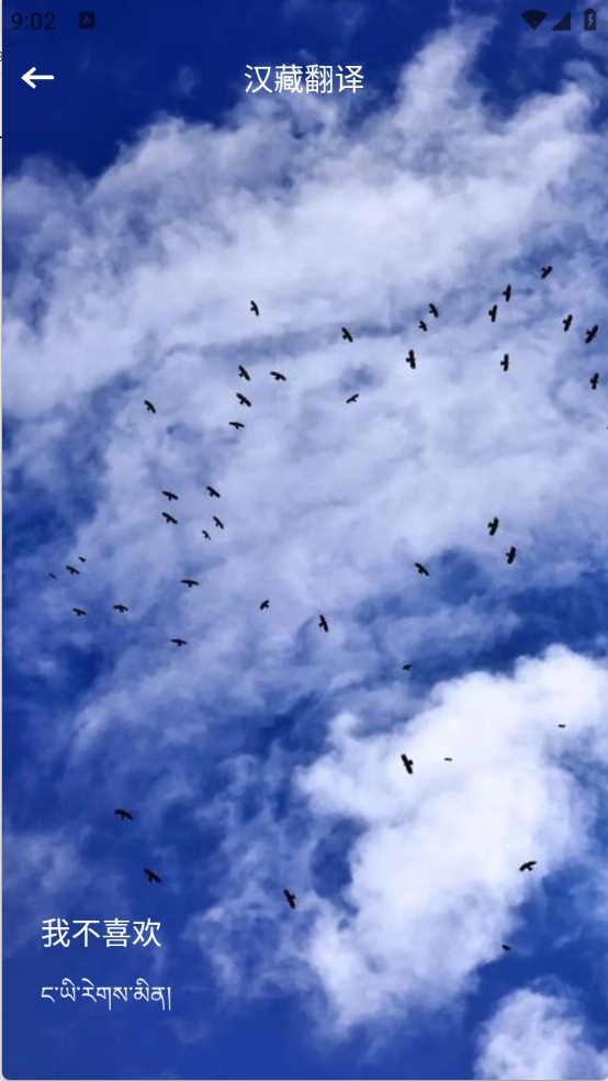 藏汉通翻译手机免费版图1