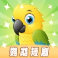 鹦鹉短剧
