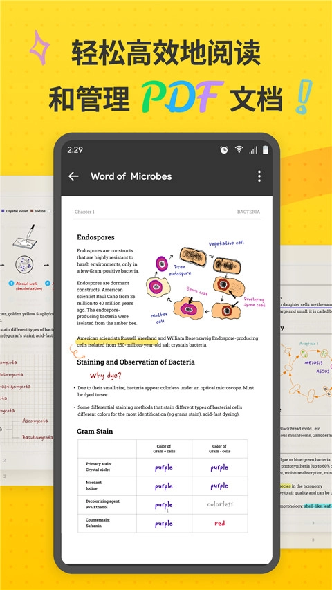UPDF安卓直装版图2