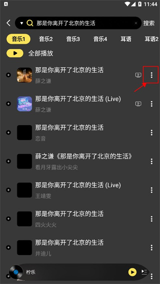 柠乐音乐中文版安装包下载