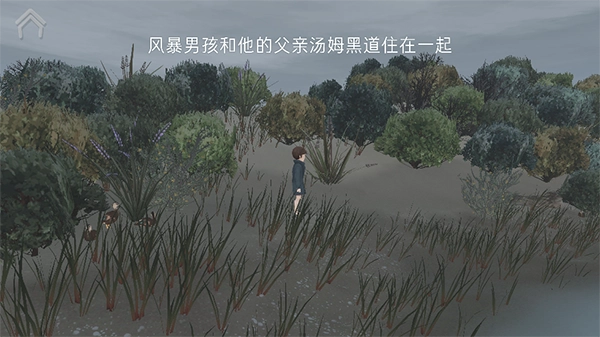 男孩与鹈鹕中文版