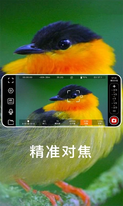 映拍