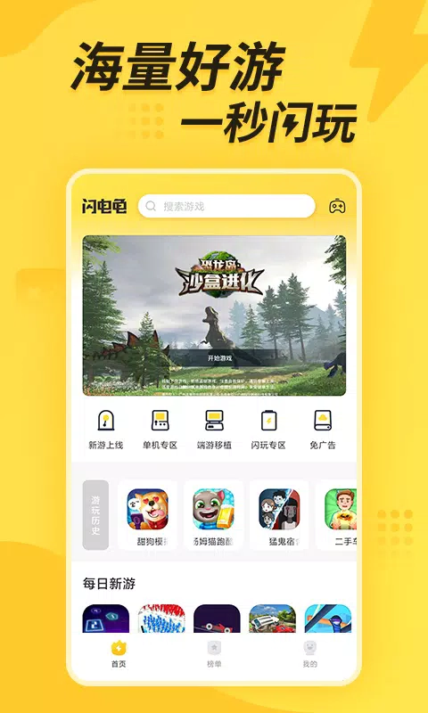闪电龟图1
