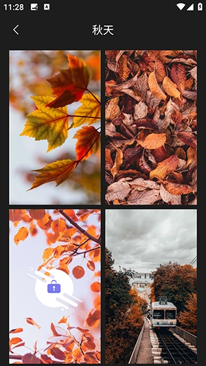 壁纸头像大全软件图2