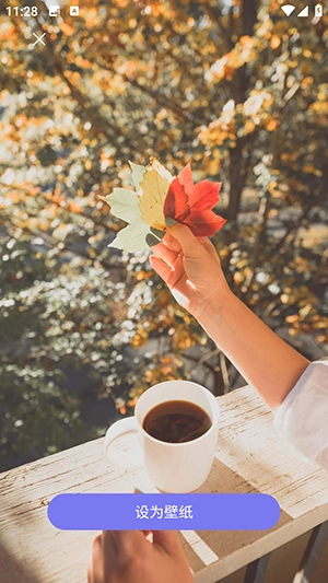 壁纸头像大全软件图1