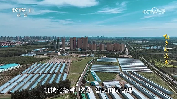 欧歌Web电视-图1